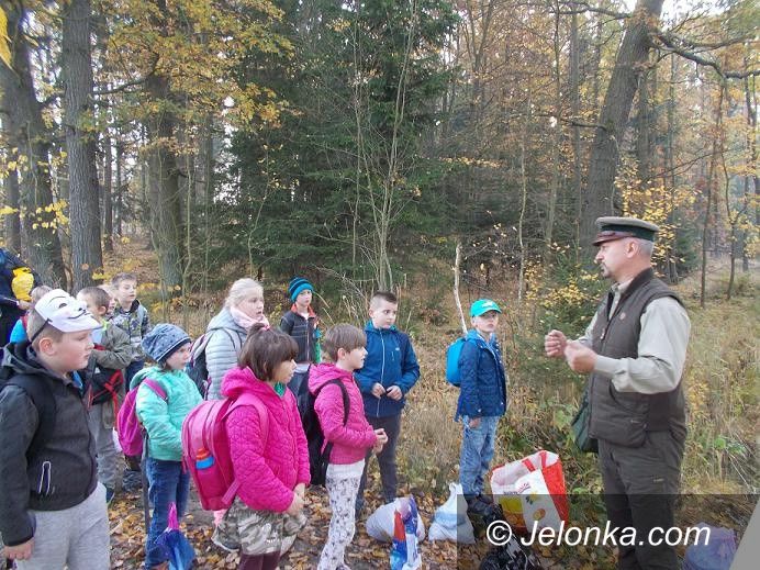 Jelenia Góra: Pomagają zwierzętom leśnym przetrwać zimę