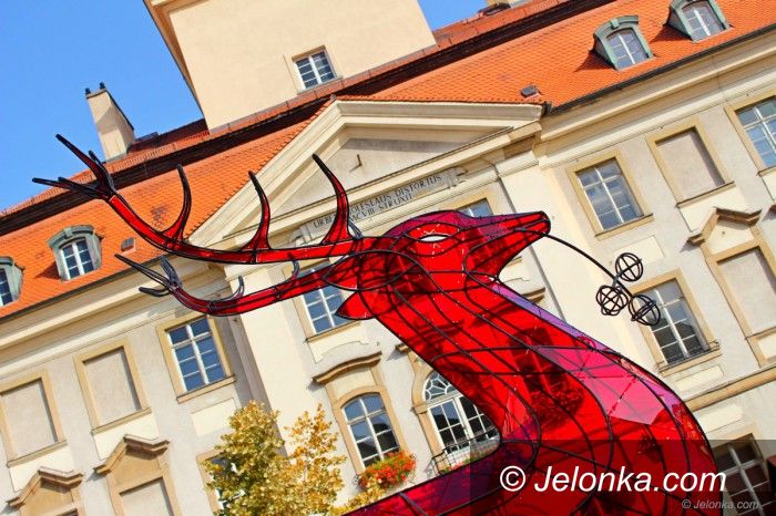 Jelenia Góra: Czerwony Jelonek zostaje pod Ratuszem