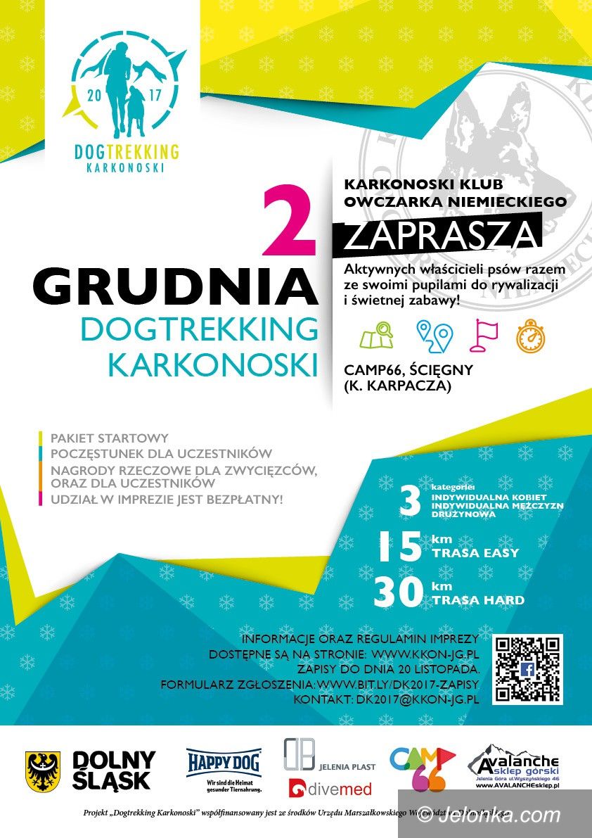 Region: Dogtrekking Karkonoski – trwają zapisy