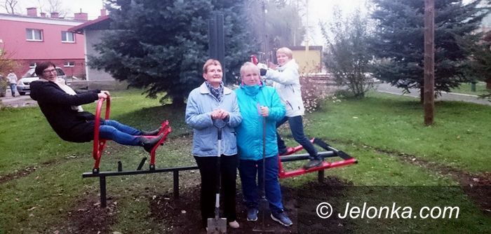 Region: Zewnętrzna minisiłownia w Miłkowie