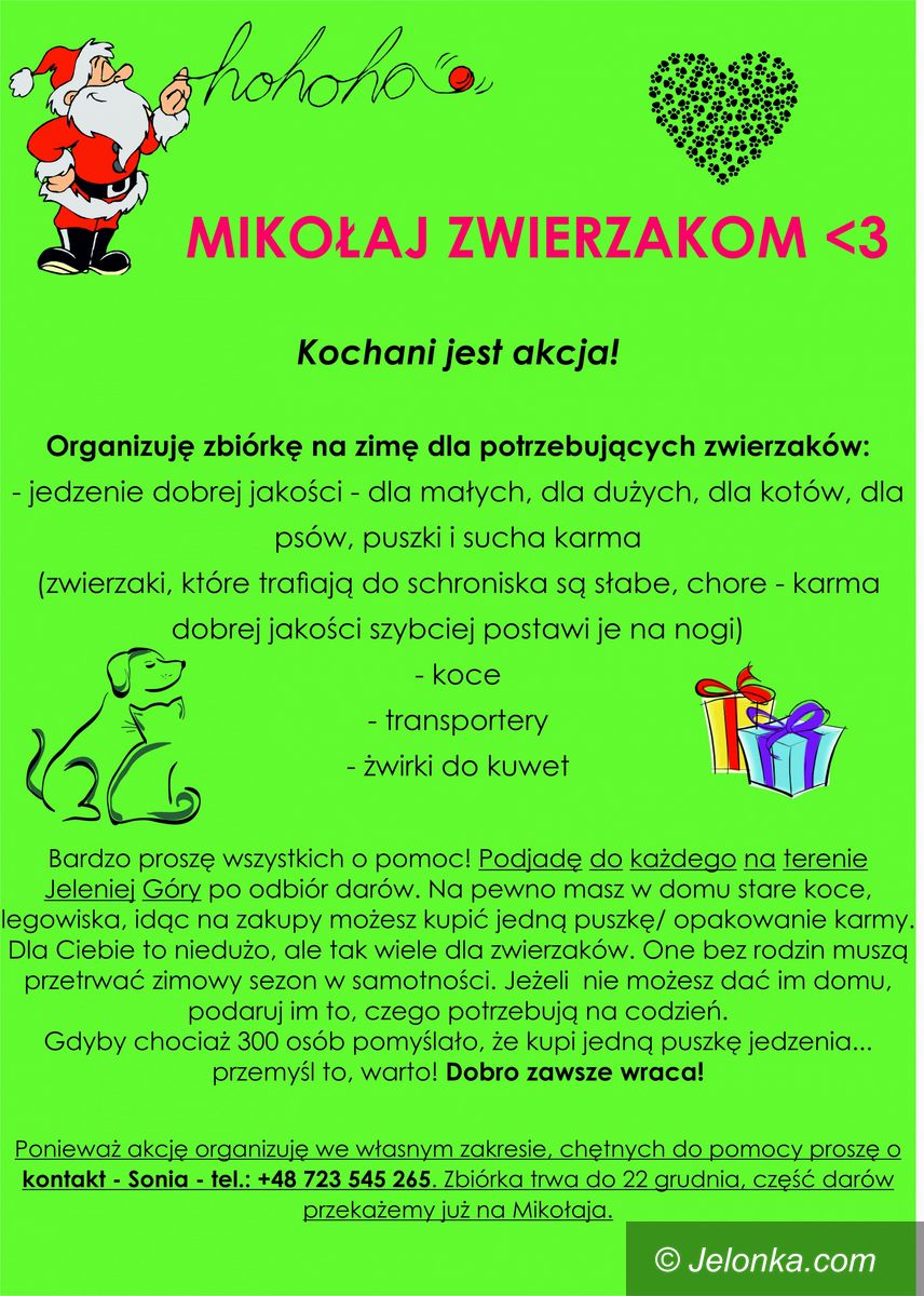 Jelenia Góra: Mikołaj – zwierzakom. Możesz, pomóż!