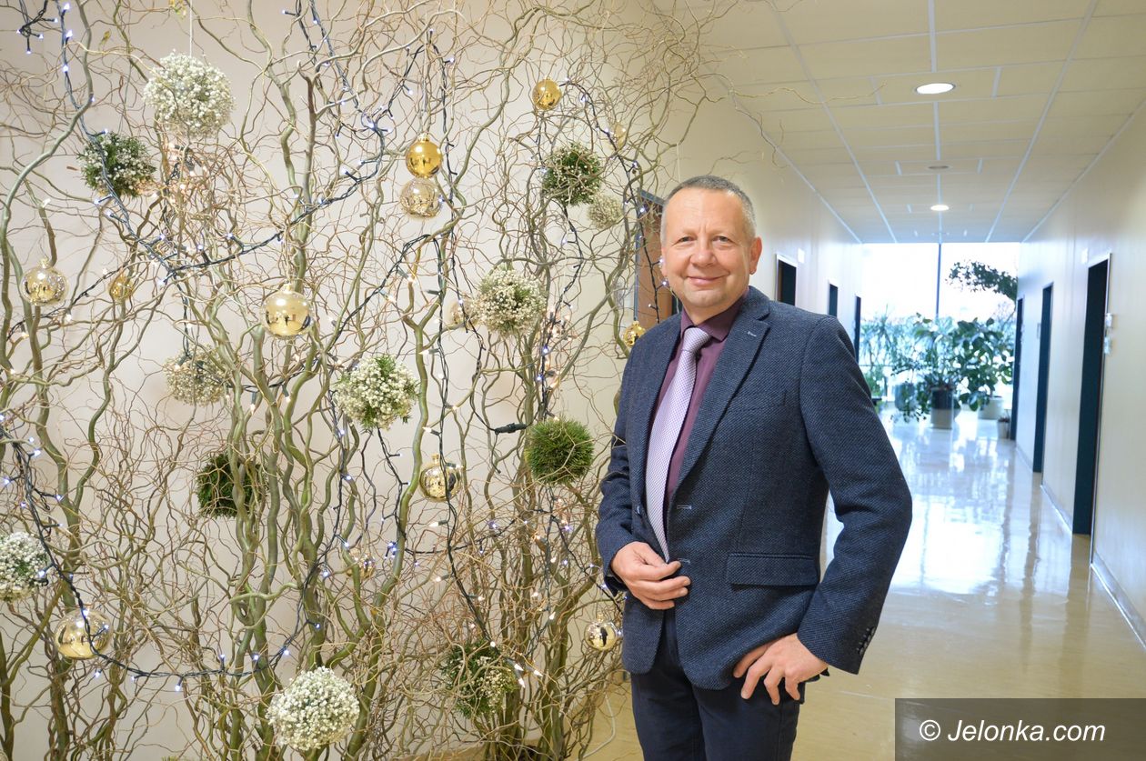 Region: O roślinach świąt Bożego Narodzenia