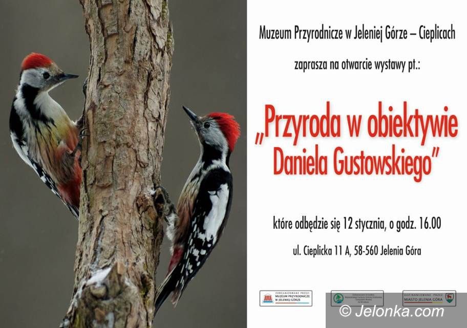 Jelenia Góra: Przyroda w obiektywie – wystawa od piątku