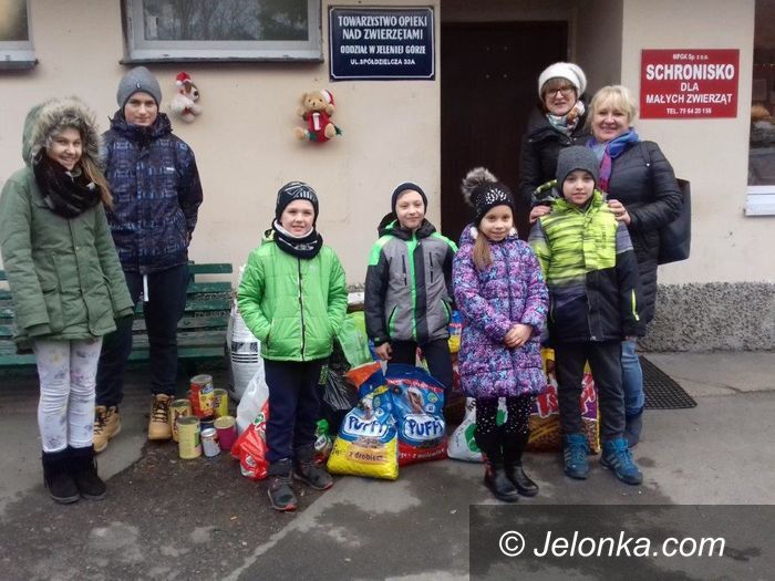 Janowice Wielkie: Uczą wrażliwości dla czworonogów