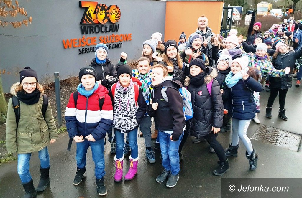 Jelenia Góra: Zimowa zadymka 2018 w Dwójce