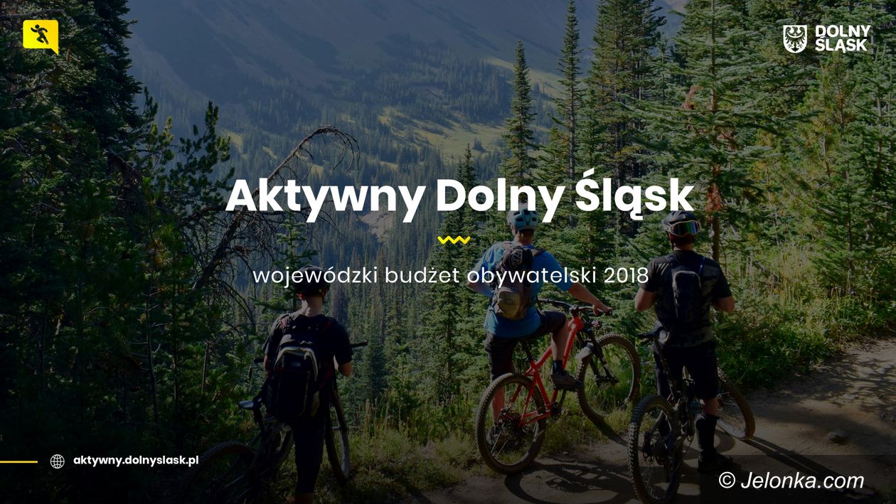 Region: Milion na Aktywny Dolny Śląsk