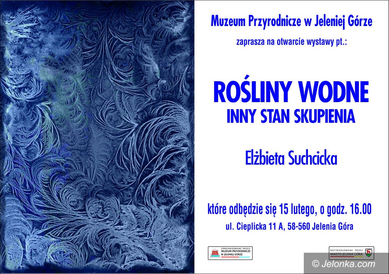 Jelenia Góra: Obrazy lodowe – jutro otwarcie wystawy