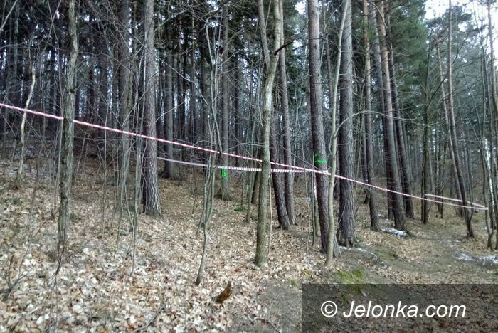Jelenia Góra: Czytelnik: Ratujcie nasz las!