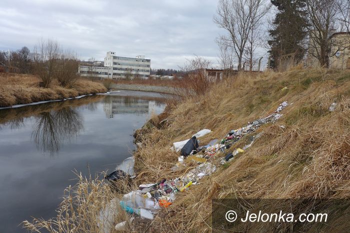 Jelenia Góra: Góry śmieci na brzegach Kamiennej