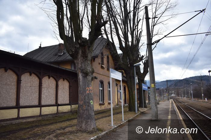Jelenia Góra: Czytelnik: Niebezpieczne drzewa na peronie
