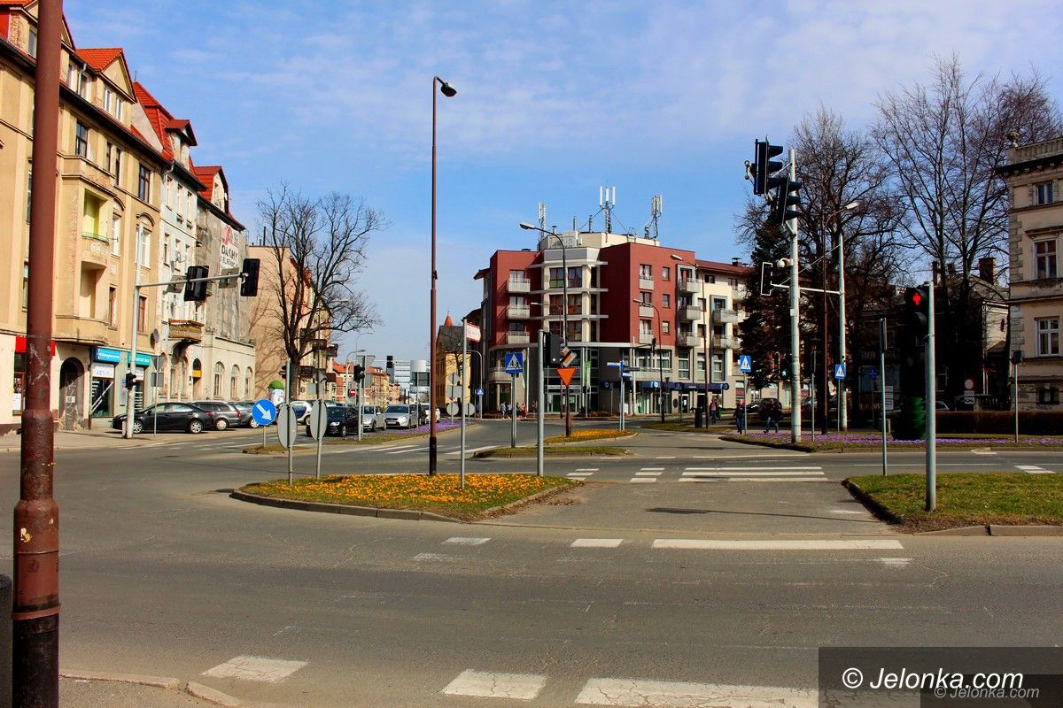 Jelenia Góra: Tysiące kwiatów ozdobi Jelenią Górę