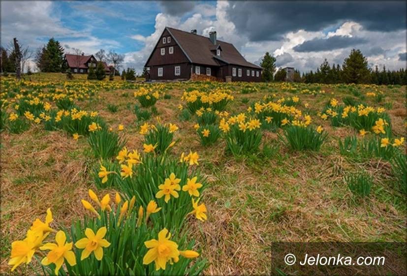 Jelenia Góra: Góry Izerskie – wernisaż wystawy fotograficznej dzisiaj