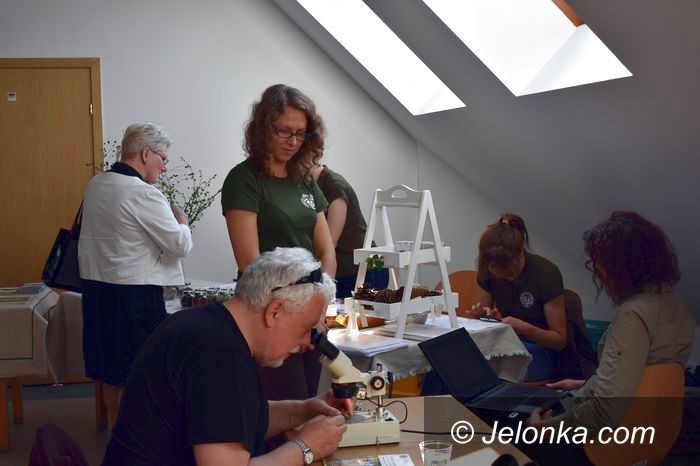 Jelenia Góra: Światowy Dzień Książki z karkonoskimi ziołami