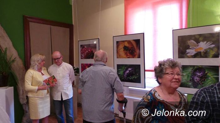 Mysłakowice: Świat makro na wystawie w Mysłakowicach