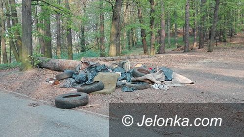 Jelenia Góra: Czytelniczka: Brak słów!