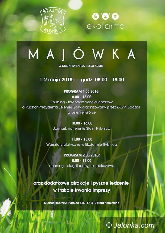 Region: Majówka z końmi i chartami w Rybnicy