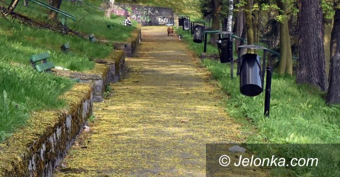 Jelenia Góra: Brudny ten skwer