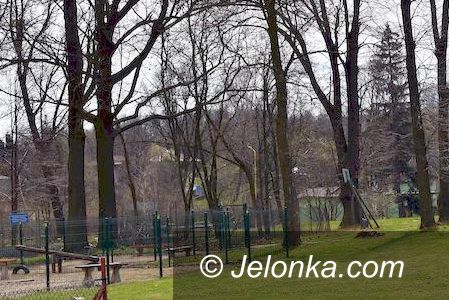 Stara Kamienica: Park wypięknieje