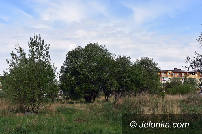 Jelenia Góra: Ten zakątek straszy