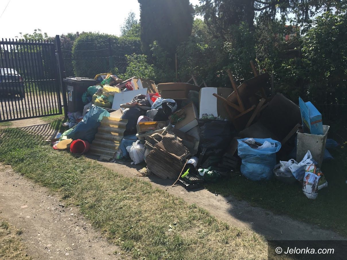 Jelenia Góra: Znikną graty z ogrodów
