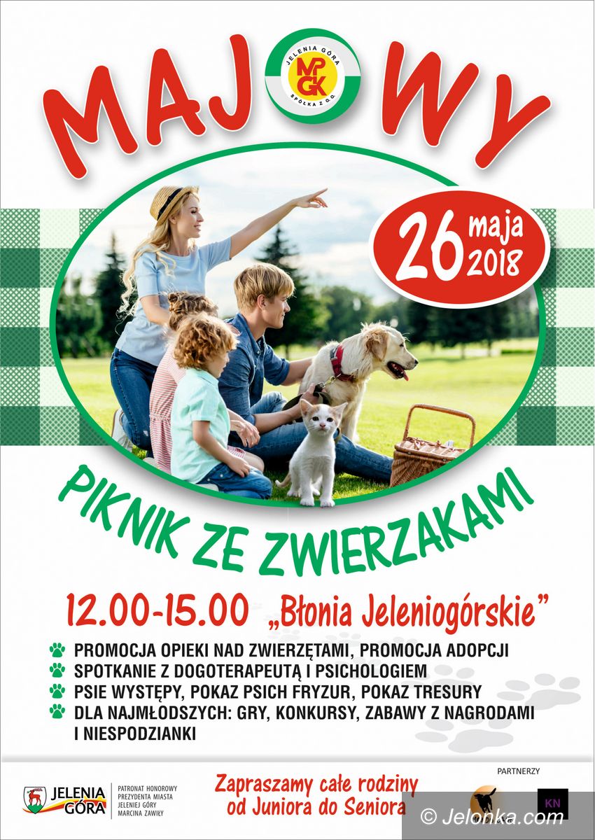 Jelenia Góra: Majówka ze zwierzakami