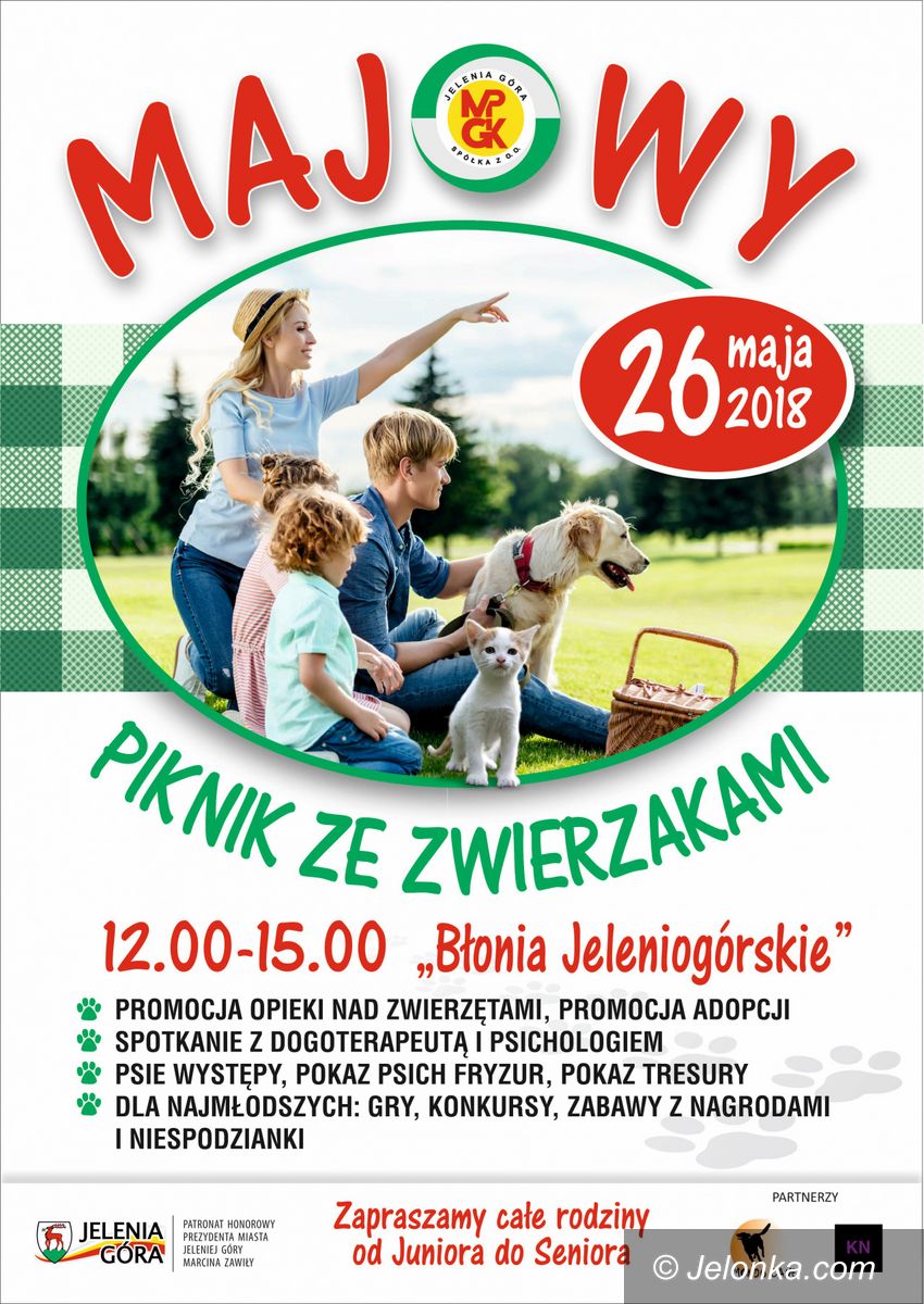 Jelenia Góra: W sobotę piknik ze zwierzakami
