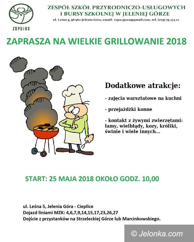 Jelenia Góra: Zwierzęta, grill i inne atrakcje