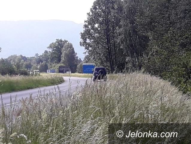 Powiat: Kto wykosi te pobocza?