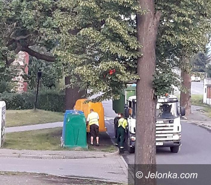 Mysłakowice: Fotopułapki już polują