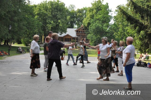 Jelenia Góra: Młodzi duchem w akcji