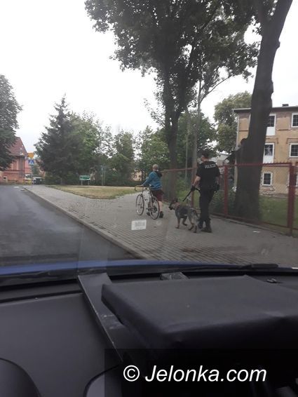 Jelenia Góra: Ukradł rower, bo było łatwo