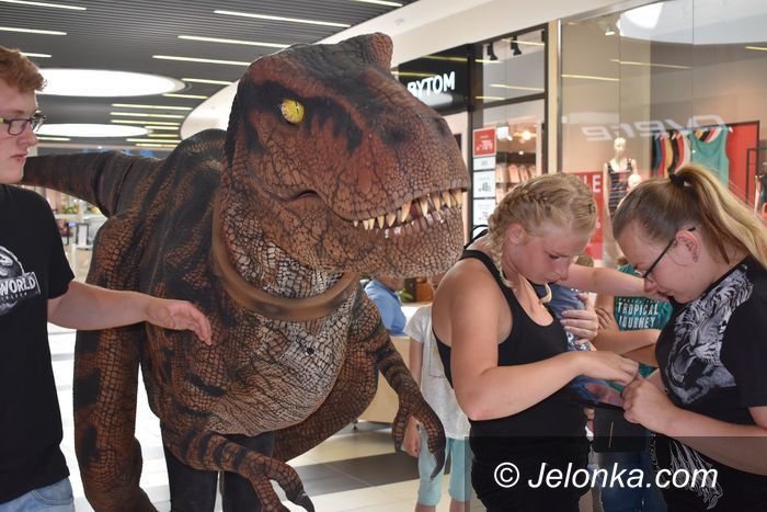 Jelenia Góra: Świat dinozaurów w Galerii Sudeckiej