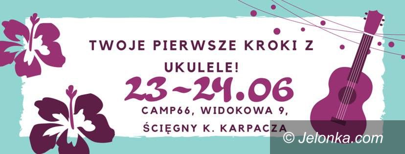 Region: Spotkanie z ukulele w Ścięgnach