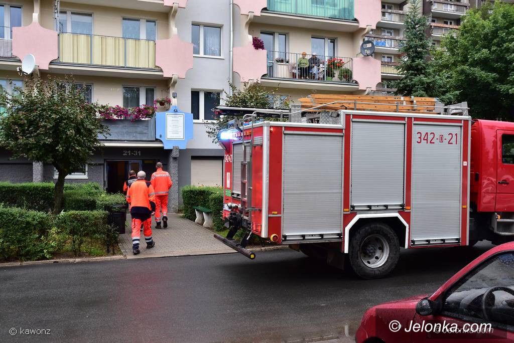 Jelenia Góra: Pożar od garnka