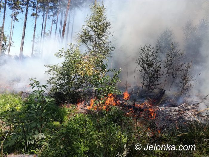 Jelenia Góra: Pożar na Górze Gapa