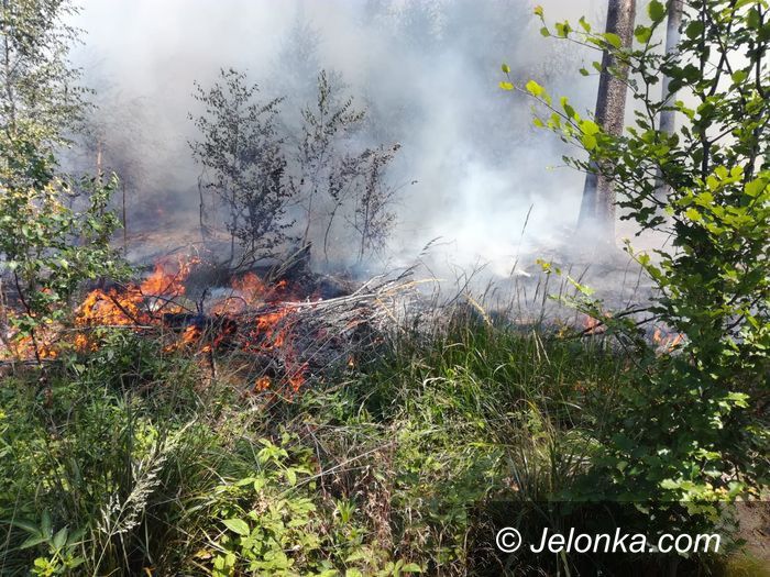 Janowice Wielkie: Rusza remont na janowickim stadionie