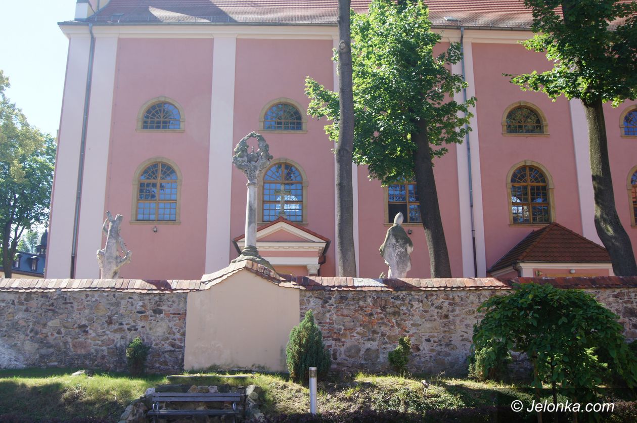Jelenia Góra: Najsławniejsza cieplicka lipa
