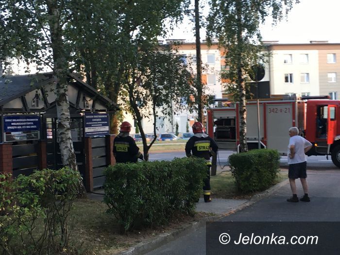 Jelenia Góra: Pożar boksu śmieciowego na Zabobrzu