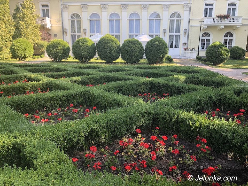 Jelenia Góra: Park Zdrojowy kwitnie