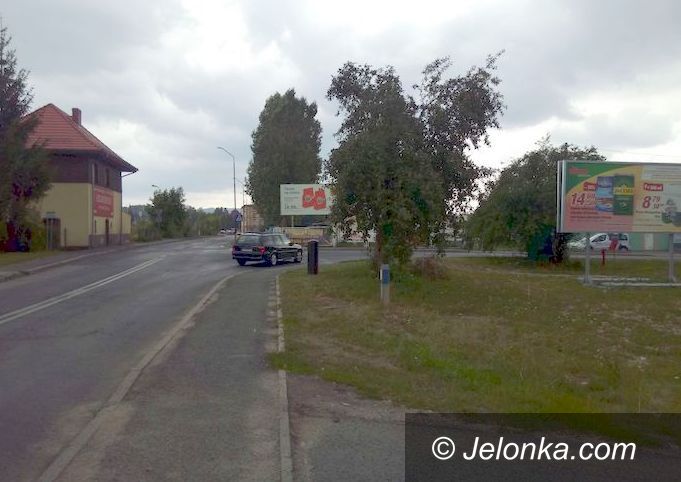 Jelenia Góra: Drzewa do wycinki?