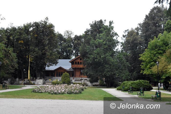 Jelenia Góra: Psi problem w parku