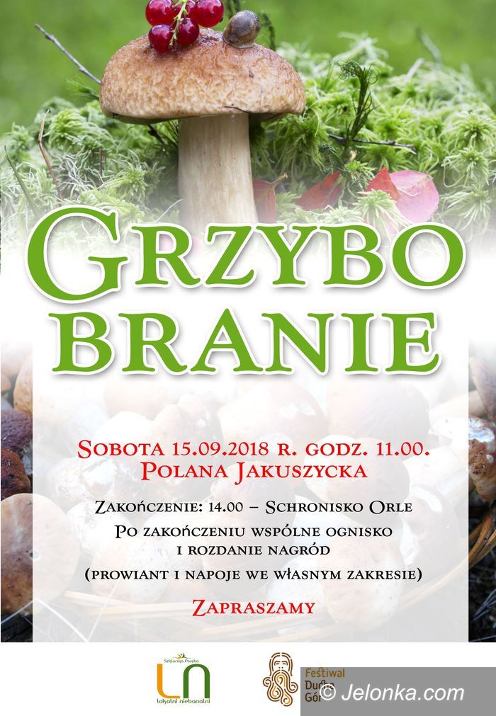 Szklarska Poręba: Grzybobranie 2018 na Polanie Jakuszyckiej