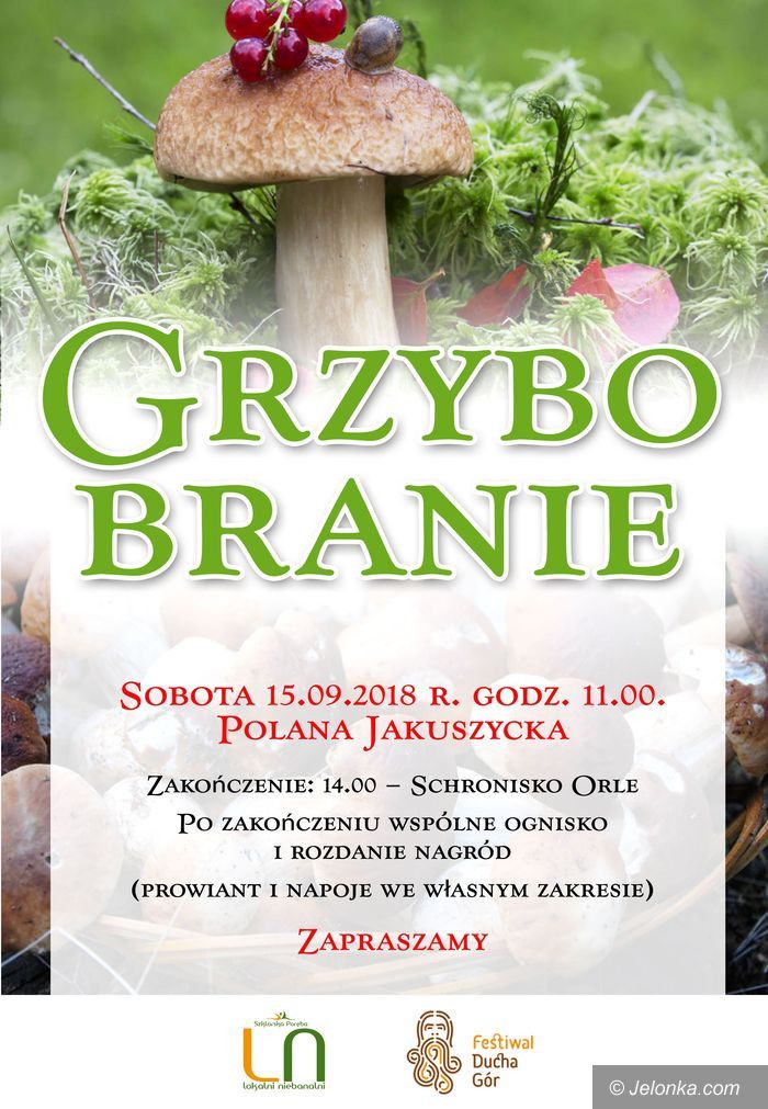 Szklarska Poręba: Grzybobranie 2018 na Polanie Jakuszyckiej