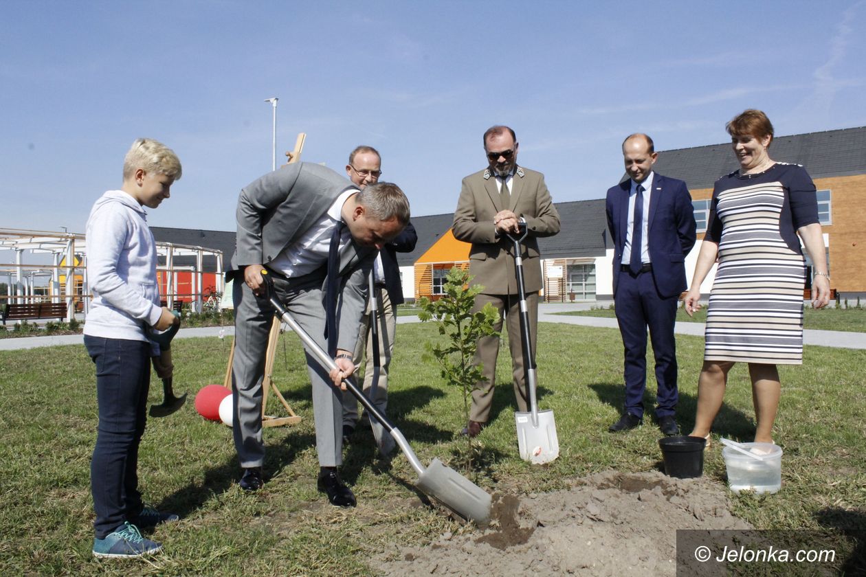 Wrocław: 100 drzew na stulecie