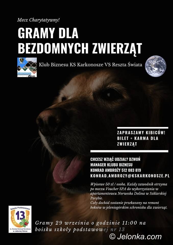 Jelenia Góra: Zagraj i wesprzyj schronisko