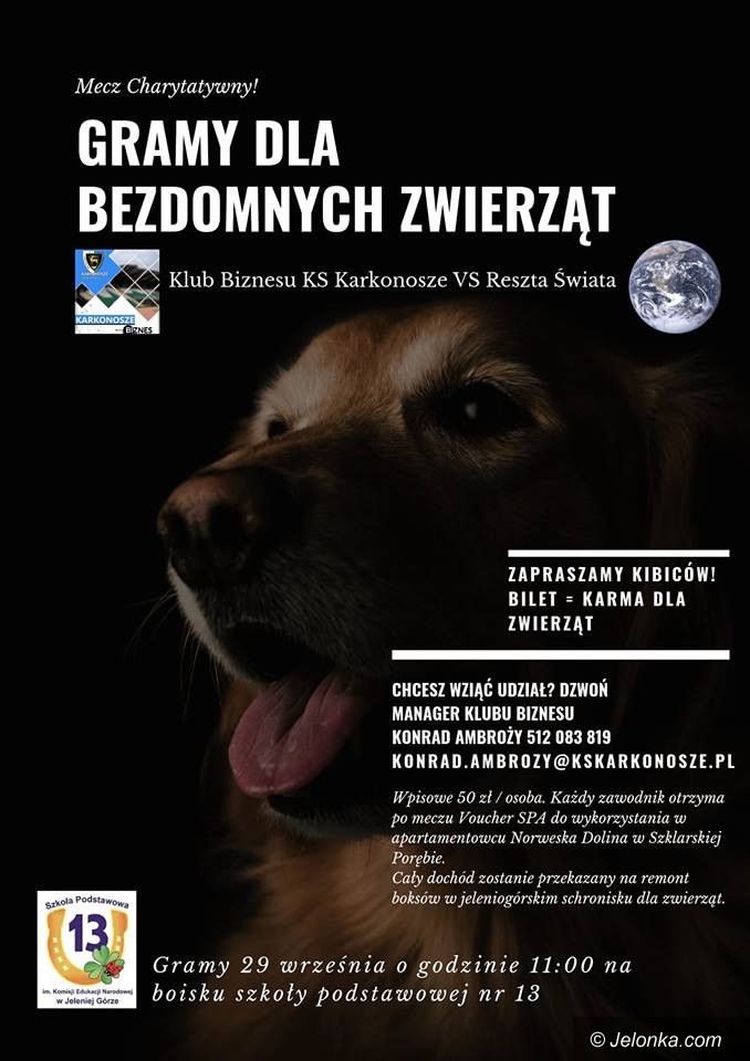 Jelenia Góra: Zagraj i wesprzyj schronisko