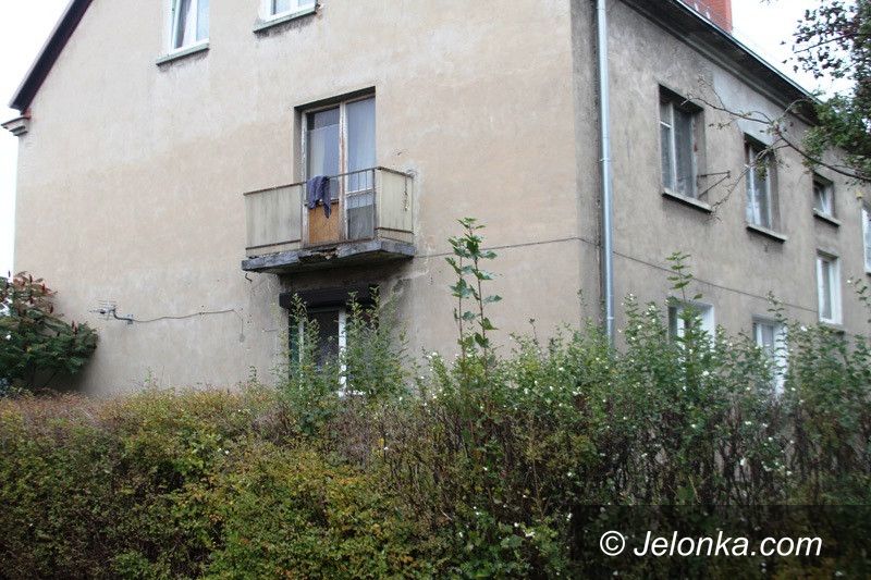 Jelenia Góra: Pies umierał w męczarniach?