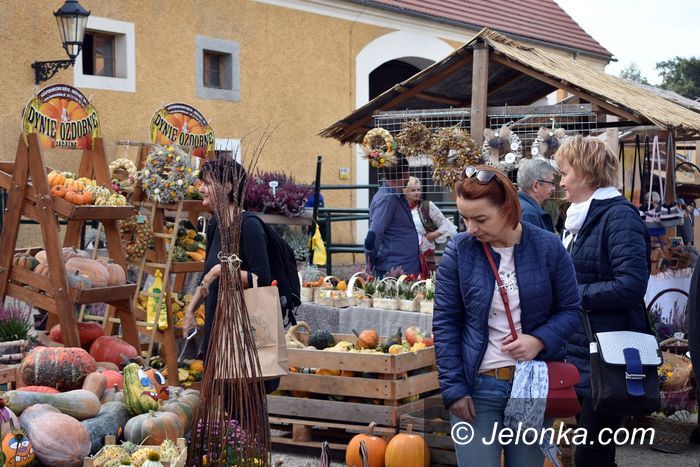 Łomnica: Tłumy na jarmarku