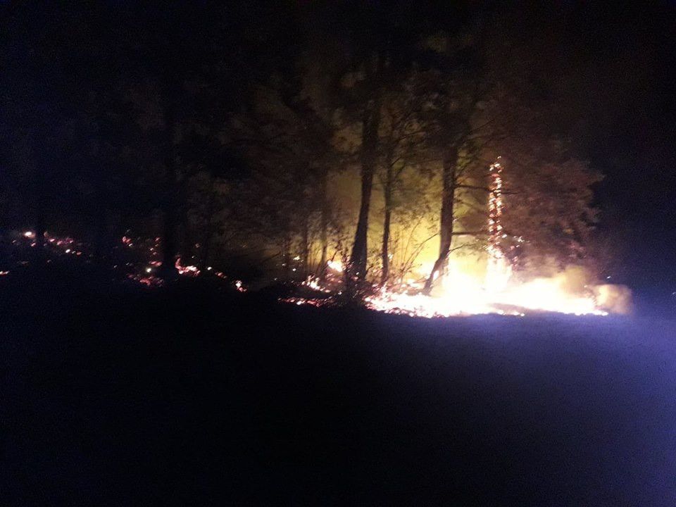 Region: Czerwony kur ponownie zaatkował lasy