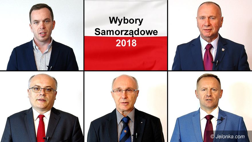 Jelenia Góra: Śmieci w lasach 11/12